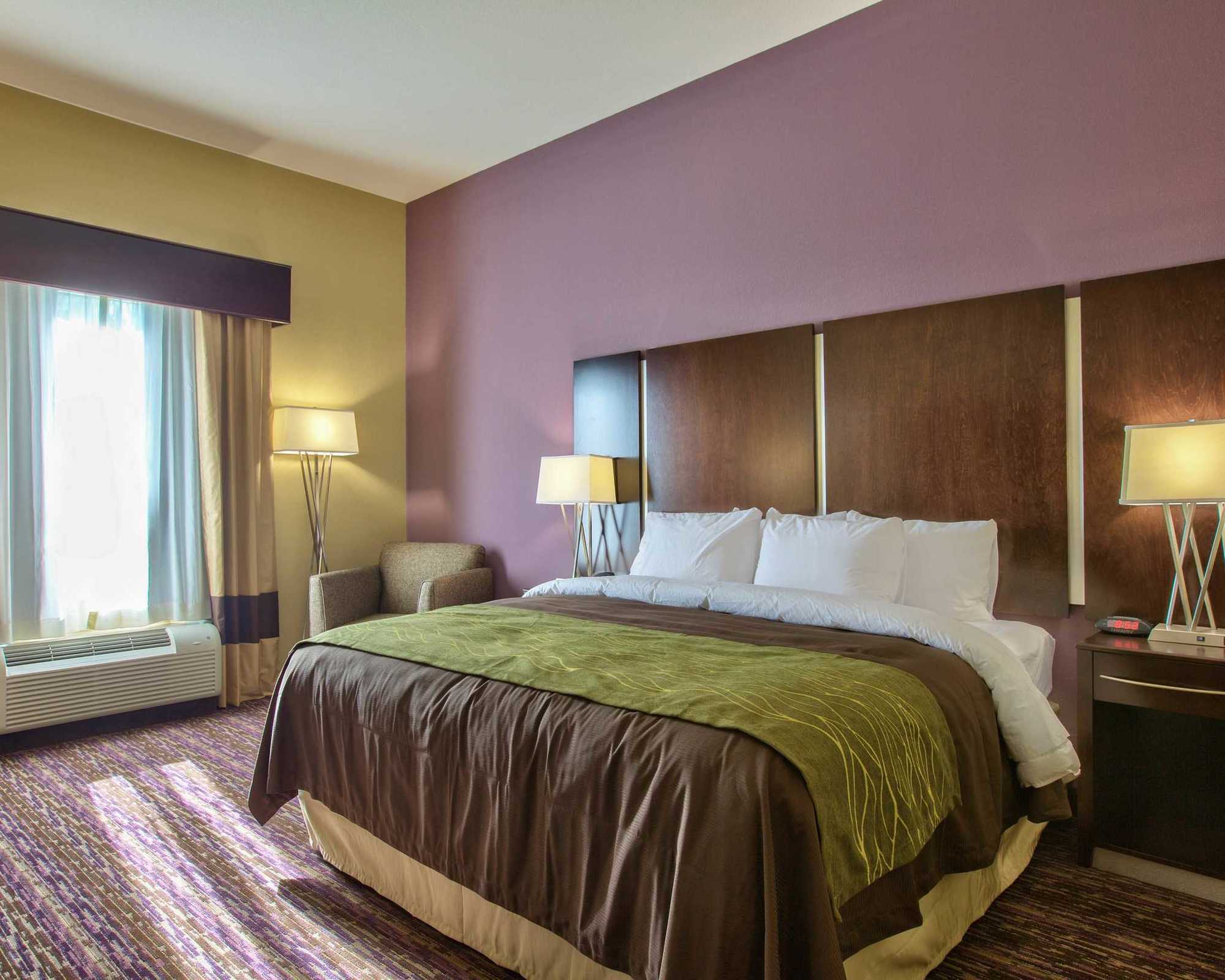 Comfort Inn & Suites Dothan East Стая снимка